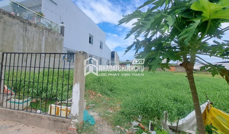Bán đất tại Mỹ Hoà 3, Hóc Môn, 15 tỷ, 164m2, mặt tiền 10m, ngõ 6m